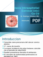 36072321 Neoplasia Intraepitelial Cervical Nic
