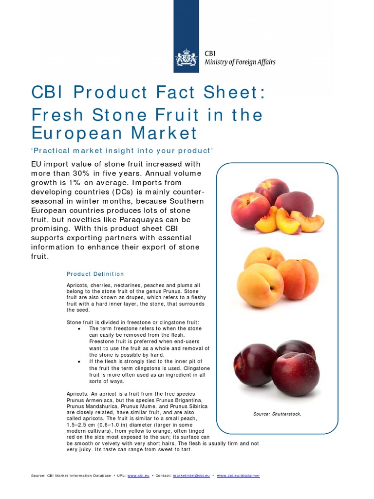 The European market potential for fresh plums and other stone