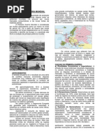 1 Apostila História Thamiris244.249