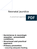 Neonatal Jaundice: A Practical Approach