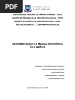 Determinação Da Massa Específica Dos Grãos