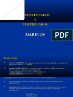 INVERTEBRADOS Y VERTEBRADOS MARINOS.pdf