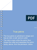 THE BONY PELVIS.pptx