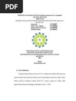 Download makalah budidaya kailan by fauzandisaster SN266394810 doc pdf