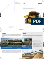 PDF Testimonial Calica