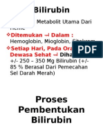 Metabolisme Bilirubin