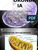 Mitokondria