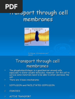 Cell Membrane Transport