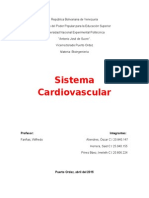 Trabajo Del Sistema Cardiovascular