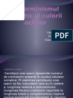 Determinismul Genetic Al Culorii Ochilor. (1)