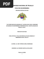 Informe Sindrome de Burnout