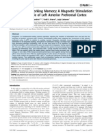 Integration in Working Memory: A Magnetic Stimulation Study On The Role of Left Anterior Prefrontal Cortex