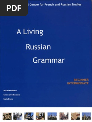 Living Russian Grammar  PDF