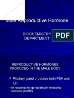 K - 9 Male Reproductive Hormone (Biokimia)