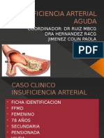 Insuficienciaarterialaguda 130306223859 Phpapp02