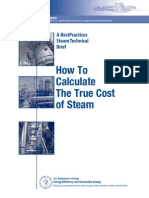 How To Calculate The True Cost of Steam