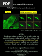 06 - IB Biology 2023 New Syllabus A2.2 Cell Structure PowerPoint ...