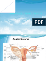 Subinvolution Uterus