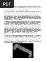 Leptospirose - Bruno