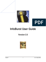 Info Burst User Guide