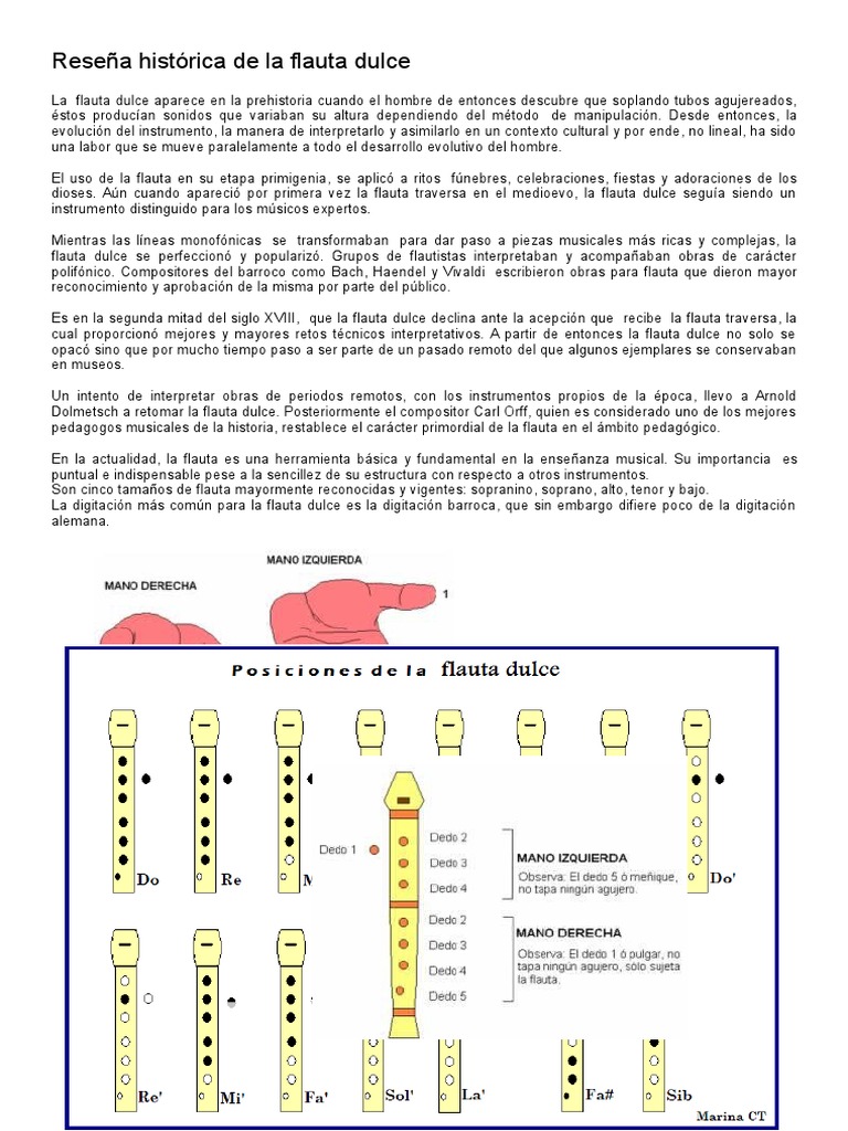 la flauta Flauta Grabadora (instrumento musical)