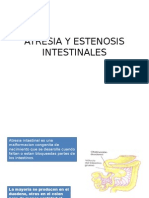 Atresia y Estenosis.