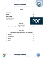 Pulmon Odontologia PDF