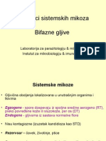 Sistemske Mikoze - Bifazne Gljive 2013.