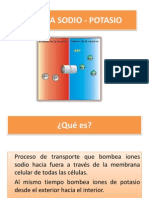 Bomba de Sodio y Potasio