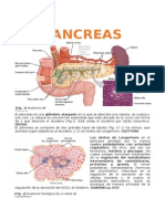 Pancreasx