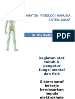 Anatomi Fisiologi Sistem Saraf
