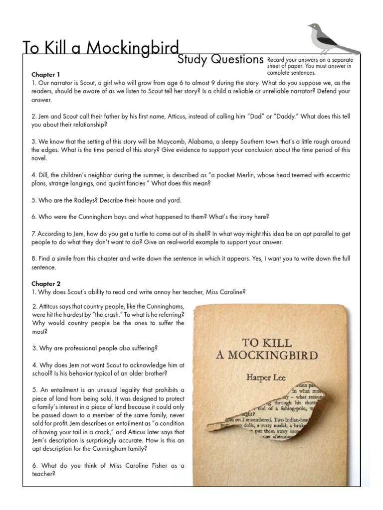 Study Questions for To Kill a Mockingbird | PDF | To Kill A Mockingbird