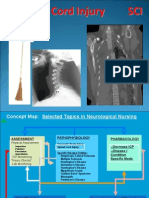 Spinal Cord Injury Snap I