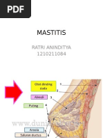 Makalah Mastitis