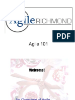 Agile101 SDLC