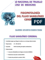 FLUJO CEREBRAL.pdf