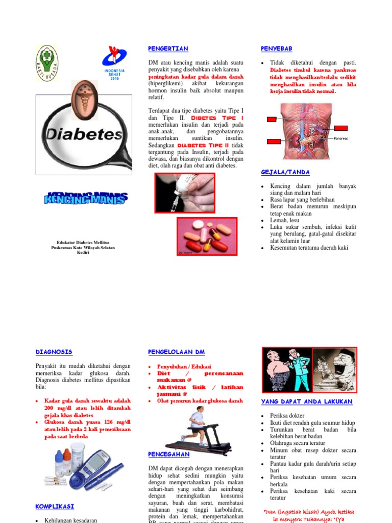 Print Leaflet Diabetes Melitus Pdf