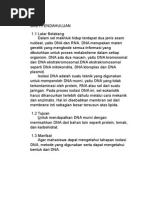 Download Laporan Isolasi DNA by Rusydah Ufairah SN266516390 doc pdf