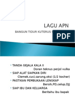 LAGU APN