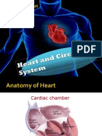 Heart Chamber Structure and Coronary Artery Disease Risk Factors