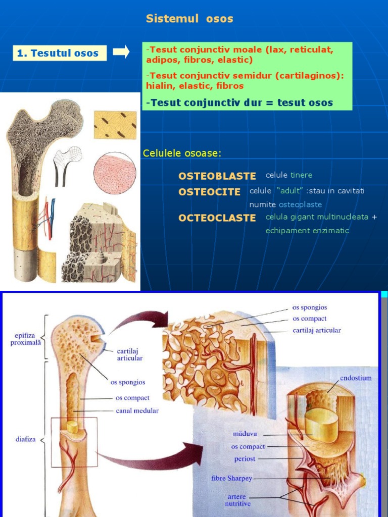 artroza metode de tratament de gradul II comprimate pentru artroza brahială