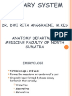  Embriologi Urinary System New