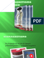 Principios Basicos Del Biomagnetismo Medico PDF