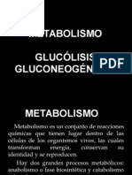 Metabolismo y Glucólisis 2013