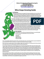 62923337-How-do-I-grow-grapes-for-winemaking-at-home.pdf