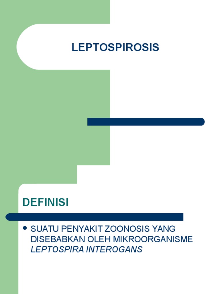 LEPTOSPIROSIS ppt