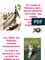 Lpelicano