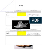 Rocas Foliadas y No Foliadas Meca