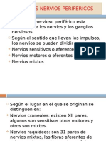 Principales Nervios Perifericos