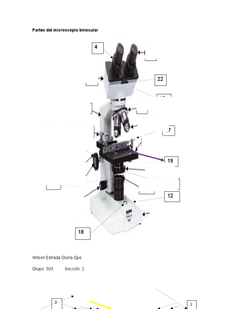 Partes Del Microscopio Binocular Lente de la cámara